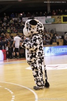 Elan Chalon vs Orléans Loiret Basket (26)
